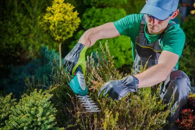 landscaping services Oronogo